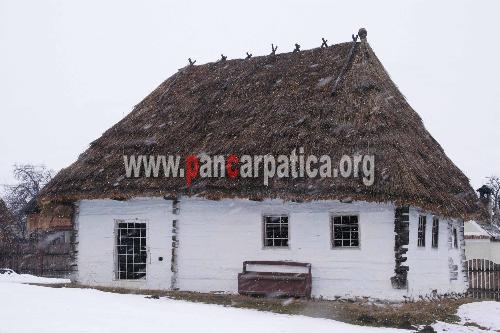 Exterior Casa Memoriala Badea Cartan